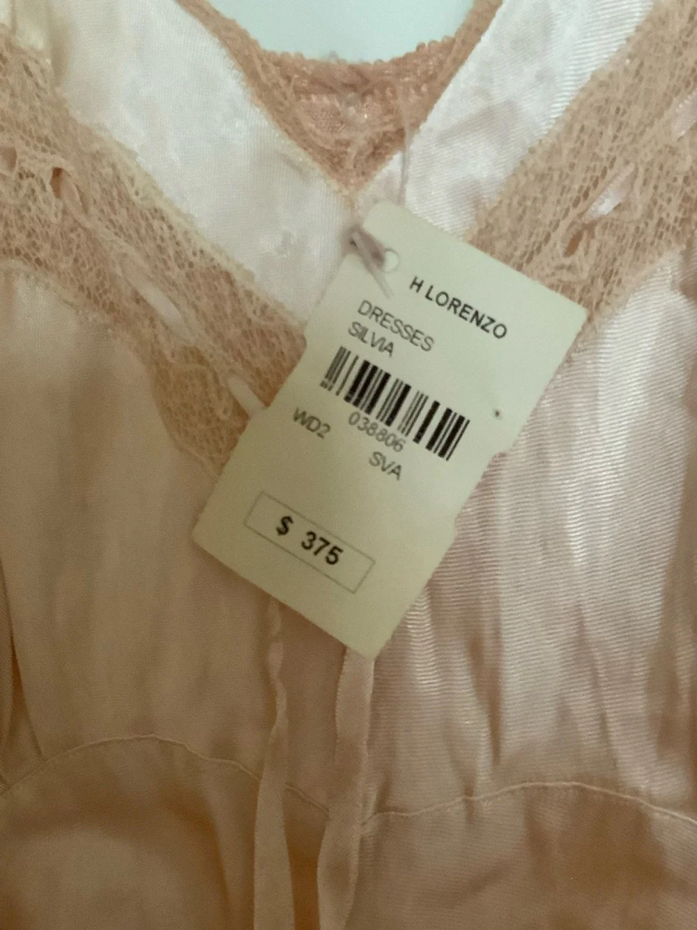H Lorenzo Blush Pink Satin Lace Maxi Slip Dress NWT